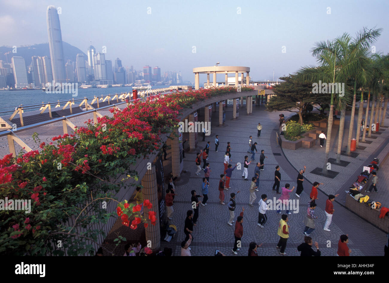 Hong Kong Tai Chi exercise on Kowloon waterfrontpromenade activity