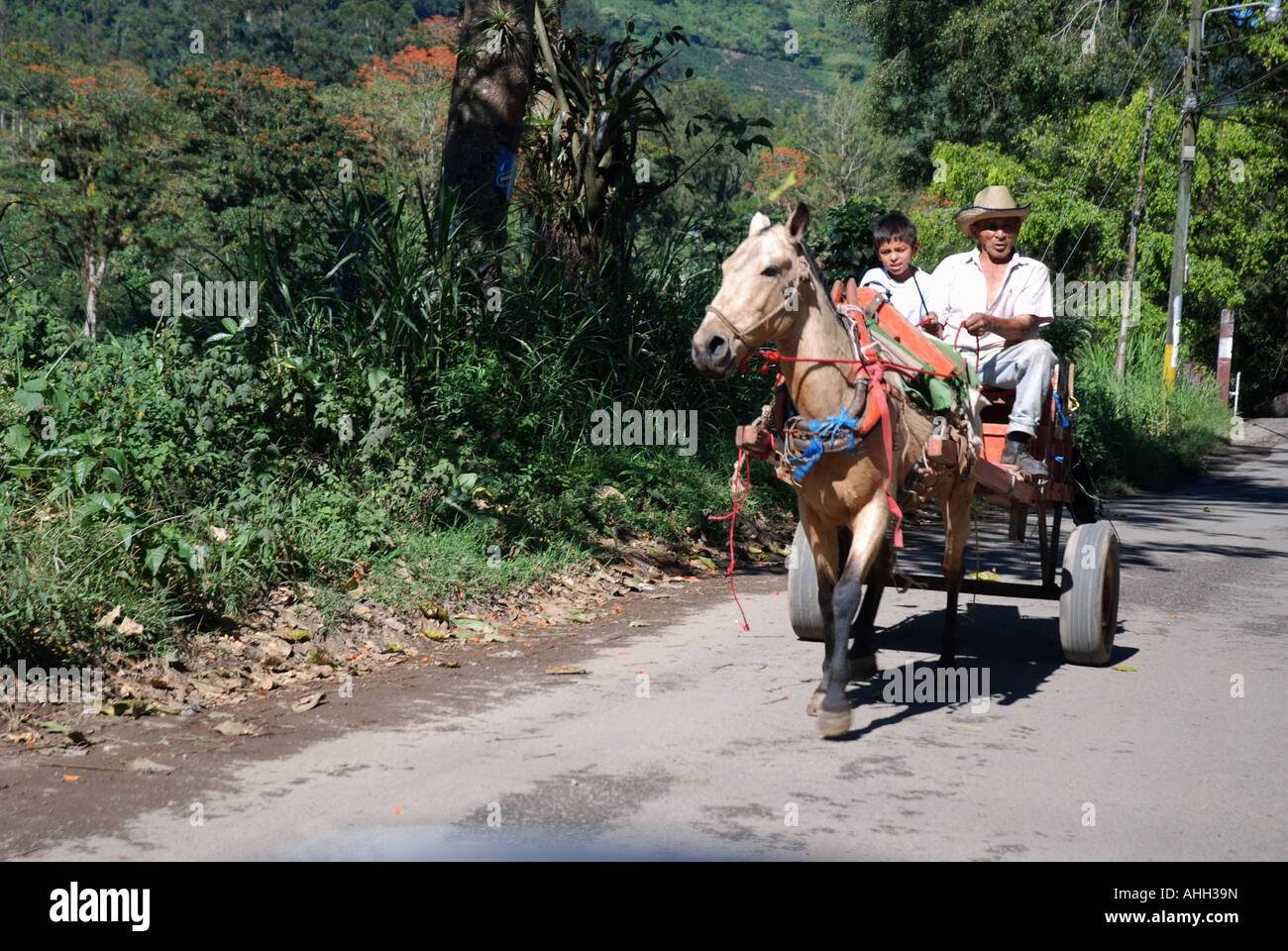 People riding mule drawn wagon, Valle Orosi, Costa Rica Stock Photo