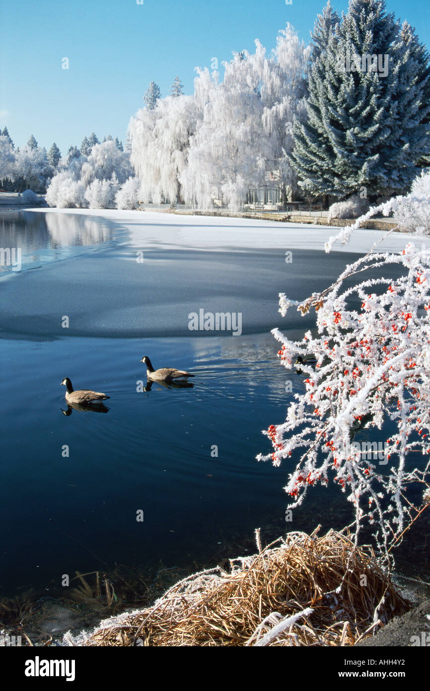 Mirror Pond, Bend Oregon Stock Photo Alamy