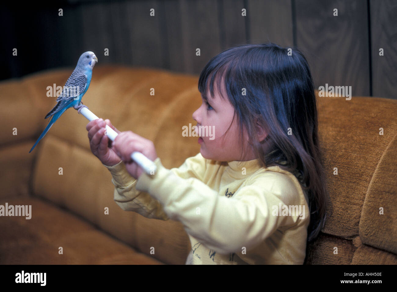 Little Girl with Pet Bird Stock Photo