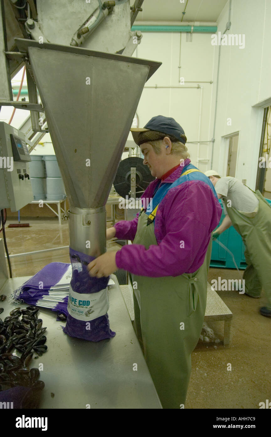 Fish processing canada hires stock photography and images Alamy