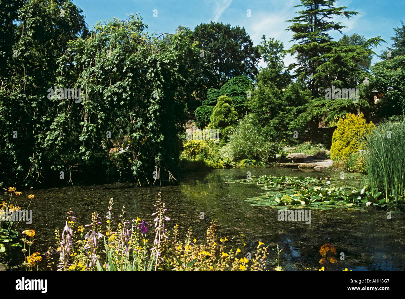 NESS GARDENS NESTON CHESHIRE UK July The water garden area of the Botanical Gardens Stock Photo