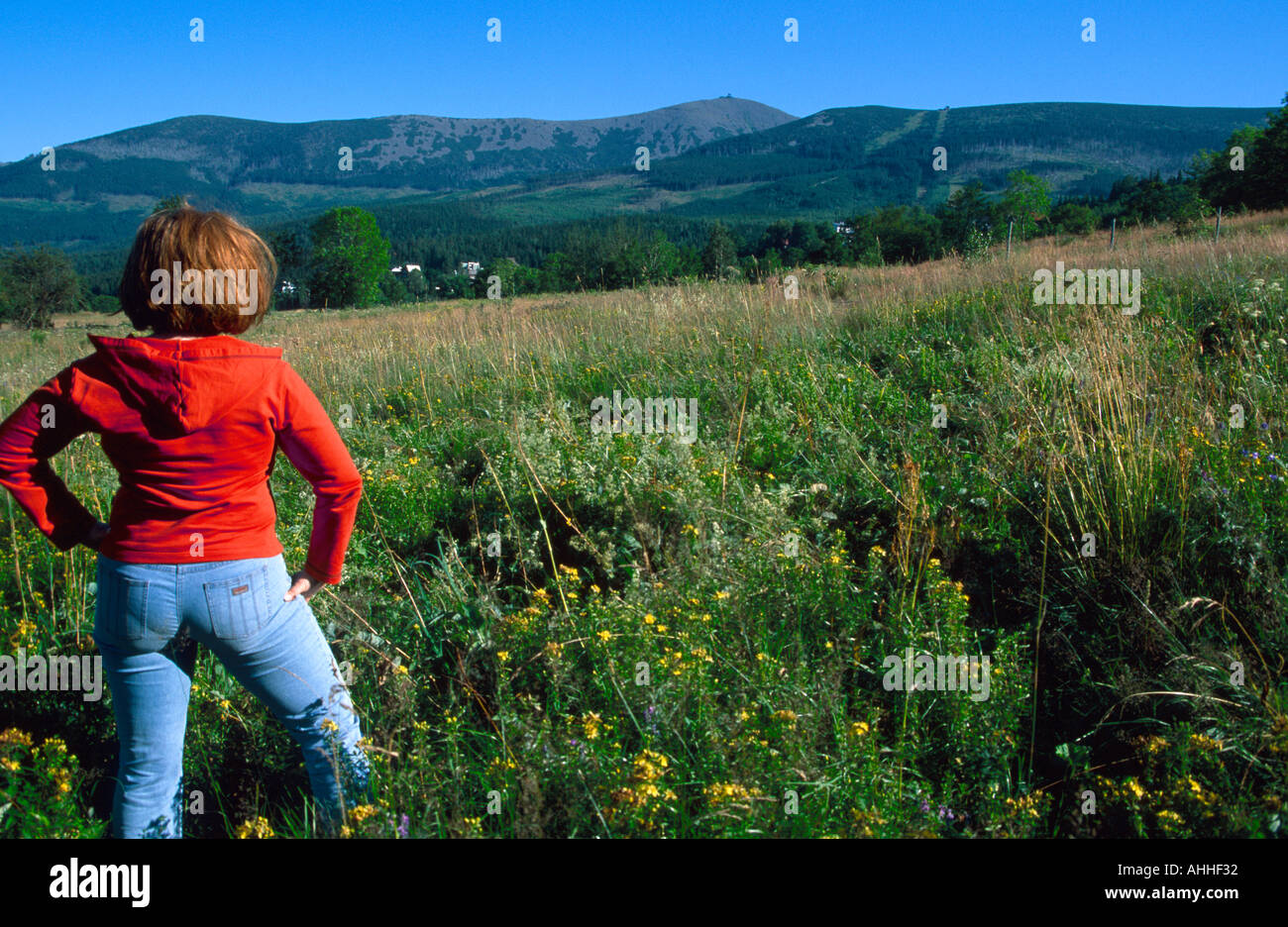 Female tourist at meadow with Mount Sniezka Poland Karpacz Karkonosze Europe Stock Photo