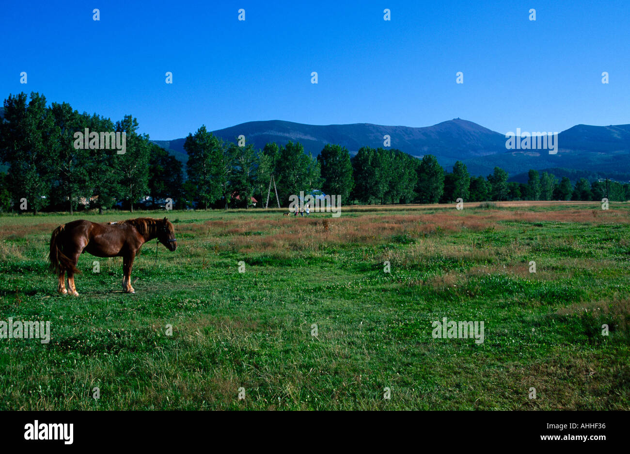 Panorama view rural countryside in lower Silesia nearby city of Karpacz Poland Karkonosze Europe Stock Photo