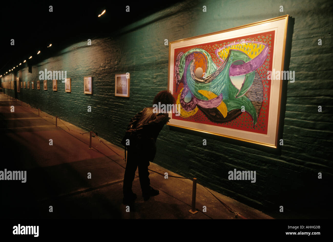 viewing the work of bradford born artist David Hockney at the 1853