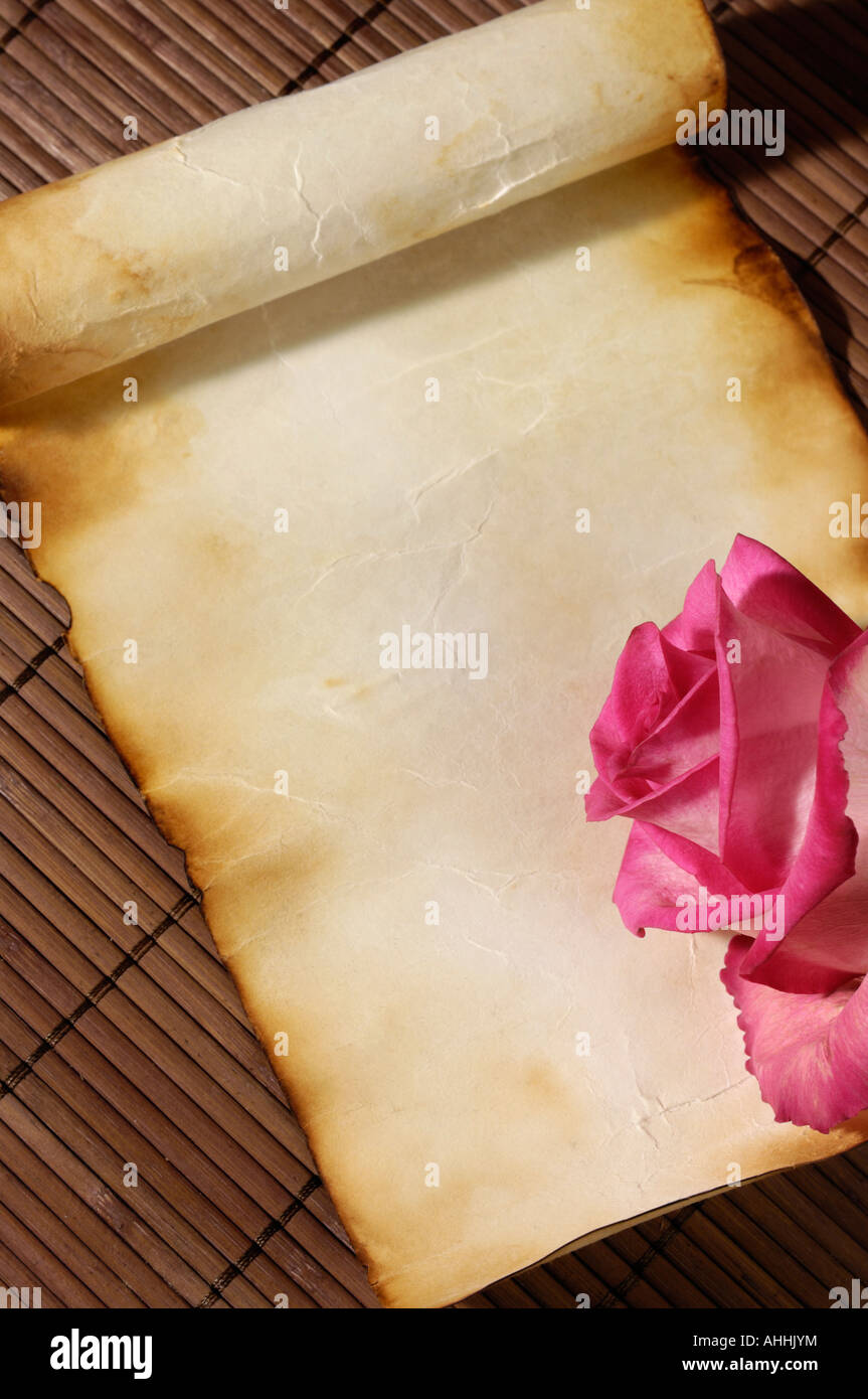 Pink rose on aged parchment paper Stock Photo - Alamy