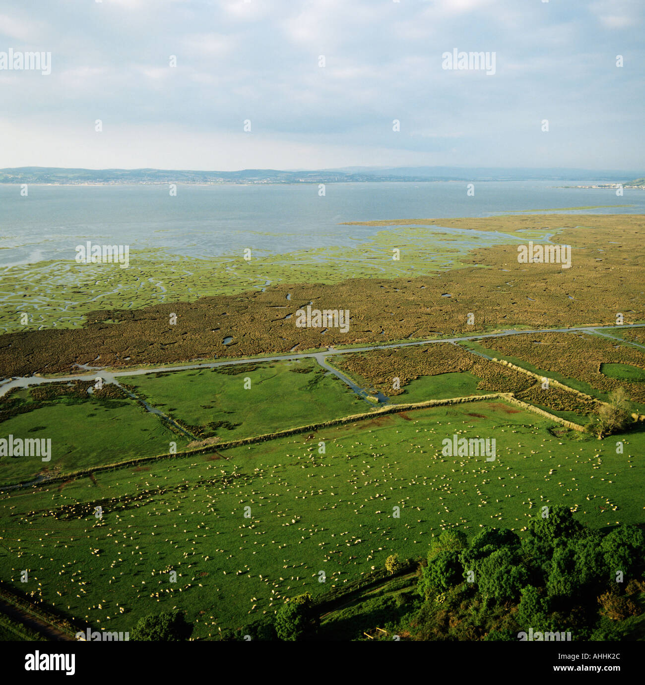 Incoming tide at Llanrhidian Marshes Gower Peninsula Wales aerial view Stock Photo