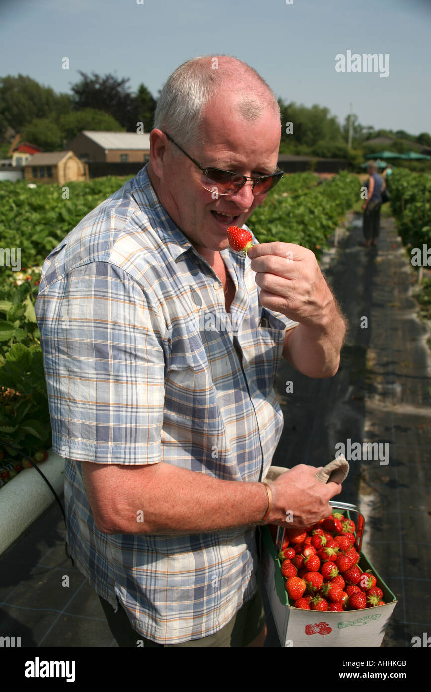 Man eating strawberries hi-res stock photography and images - Alamy