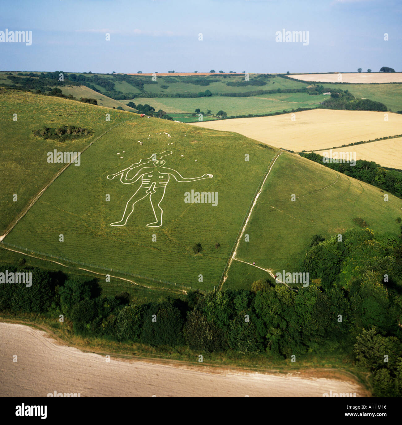 Cerne Abbas Giant Hill Carving Dorset UK Aerial View Stock Photo Alamy Cerne Abbas Giant Hill Carving Dorset UK Aerial View Stock Photo Alamy