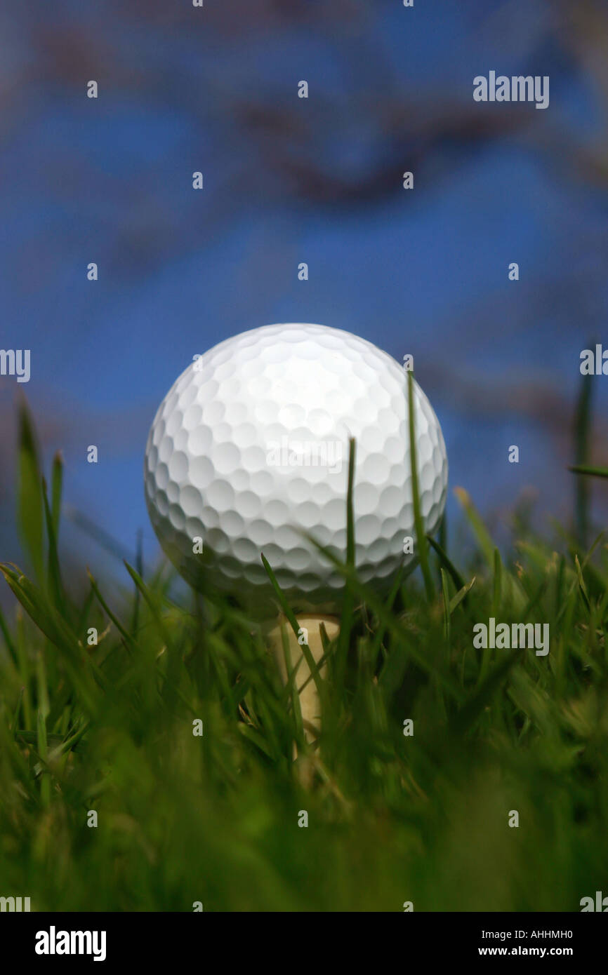 Golf ball on a tee Stock Photo Alamy