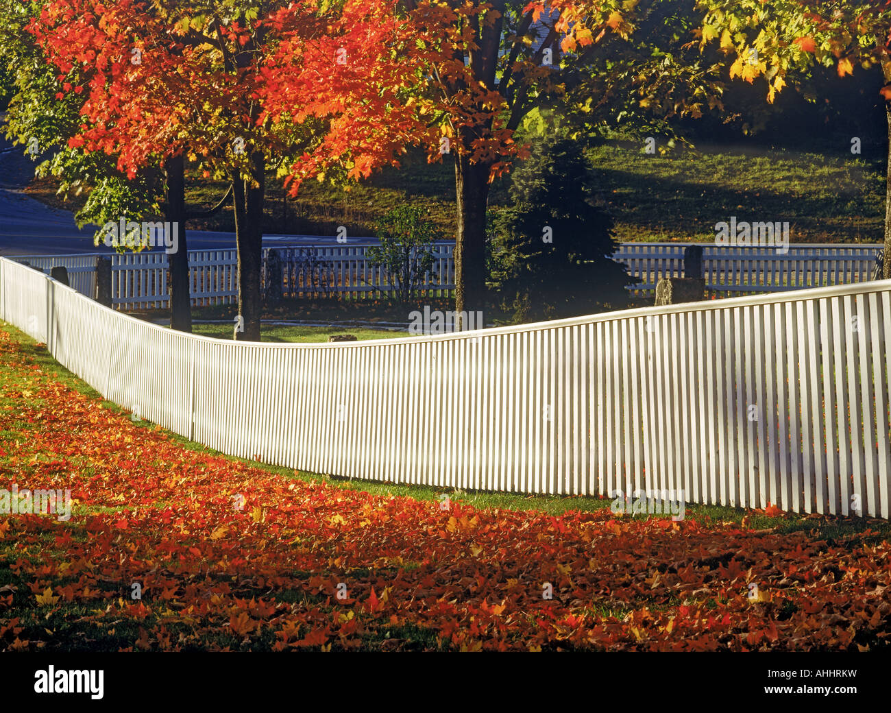 New england home white picket hi-res stock photography and images - Alamy