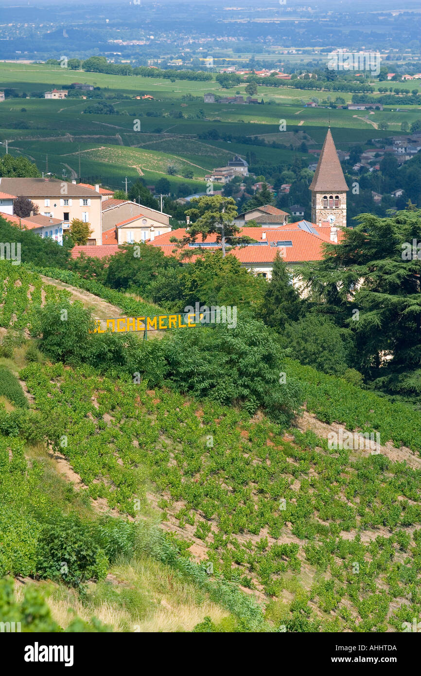 VINEYARDS AND  VAUX-EN-BEAUJOLAIS  VILLAGE BEAUJOLAIS WINE COUNTRY RHONE VALLEY FRANCE Stock Photo
