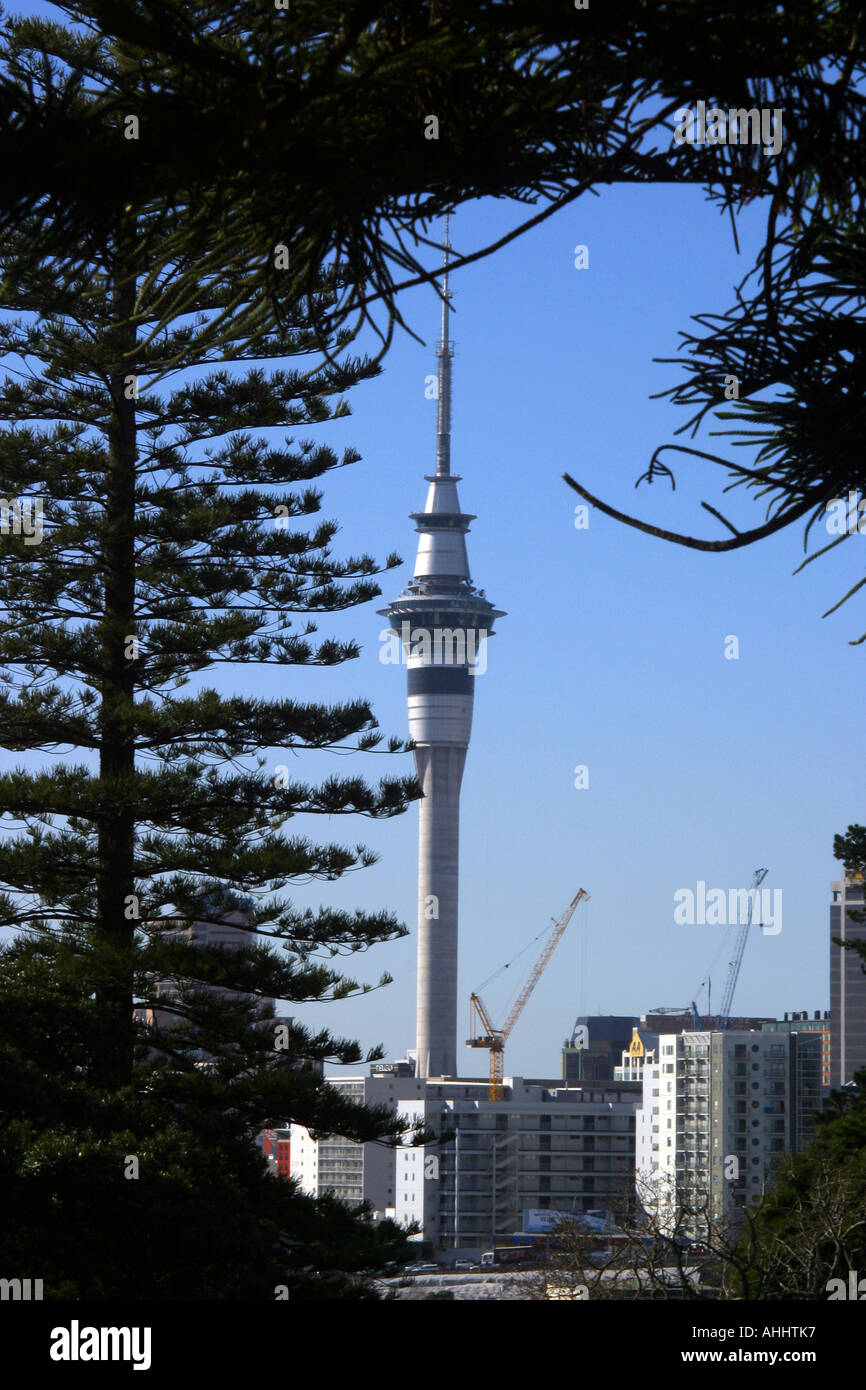 View of Sky Tower from Western Park Ponsonby Auckland New Zealand Stock Photo