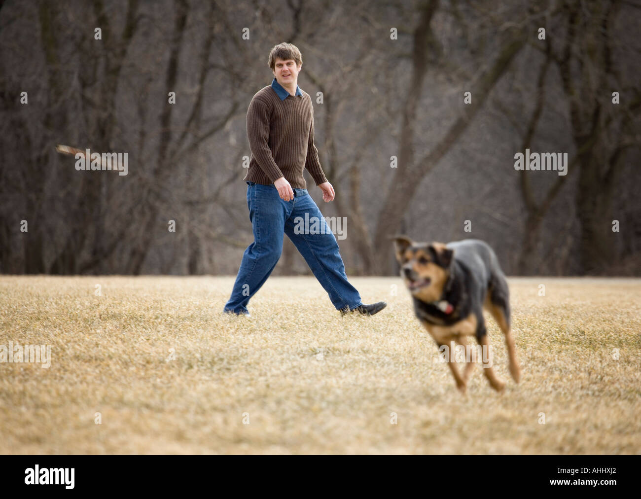 Man throwing stick for dog Stock Photo Alamy