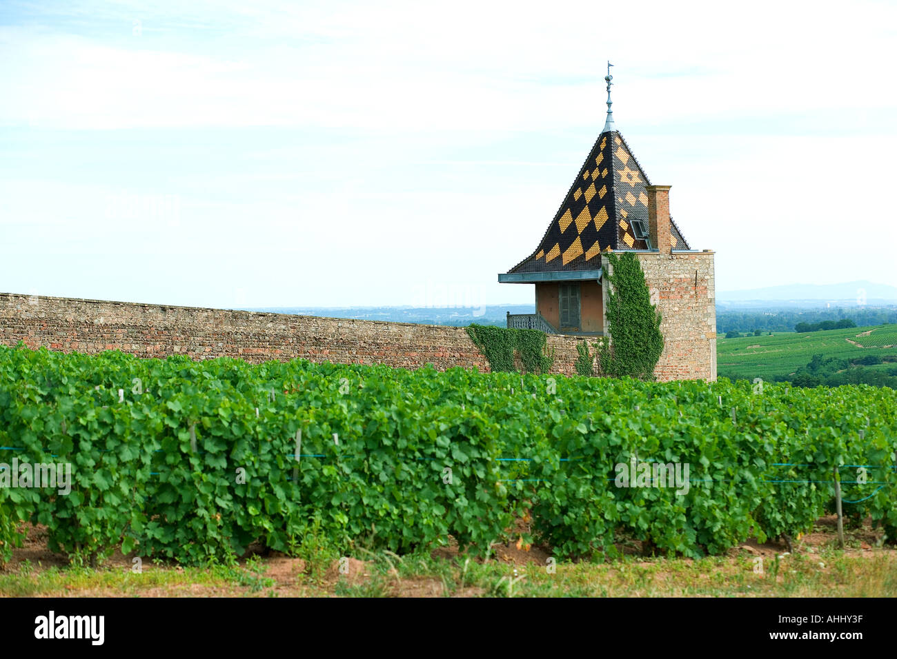 VINEYARD AND TOWER WITH POLYCHROMATIC GLAZED TILES ROOFING  MOULIN-A-VENT  BEAUJOLAIS WINE COUNTRY RHONE VALLEY FRANCE Stock Photo
