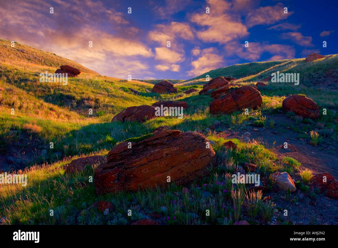 Red Rock Coulee, Alberta, Canada Stock Photo 8275921 Alamy