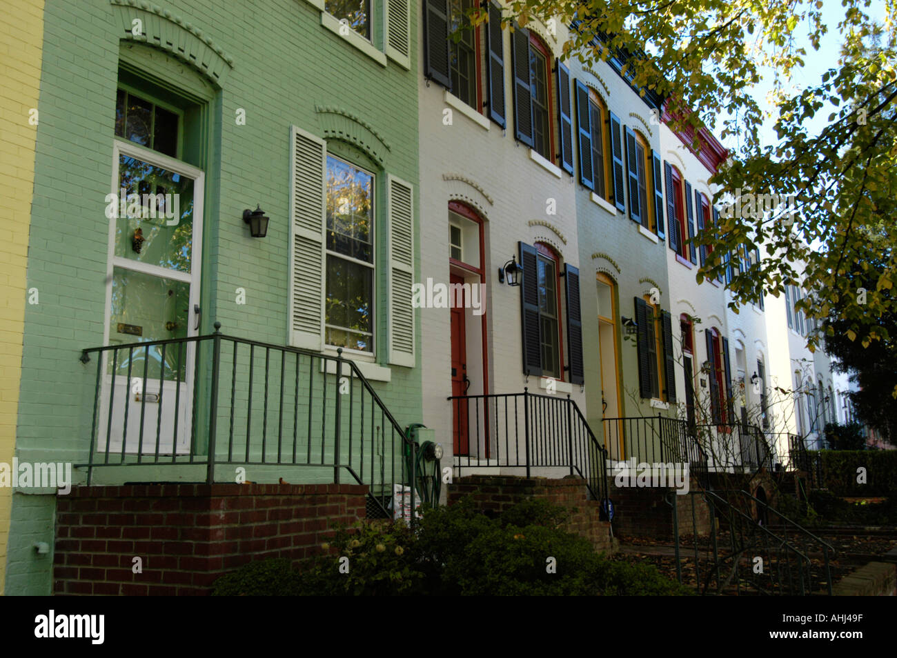 Row of residential houses on quiet leafy street, Washington DC, USA Stock Photo