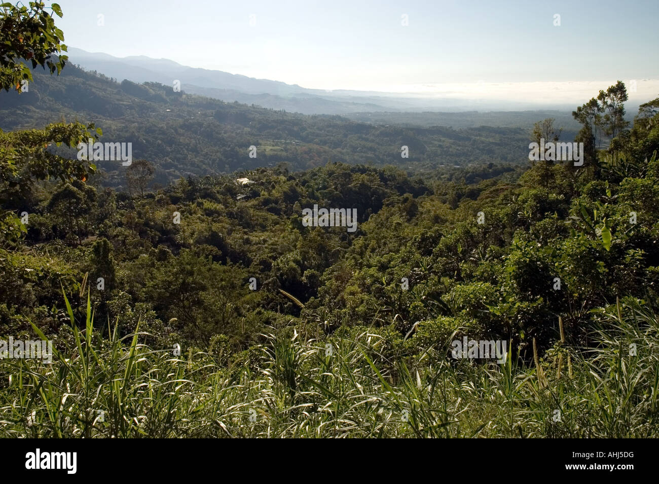 Forested landscape with small farms, Osa Peninsula, Costa Rica Stock Photo