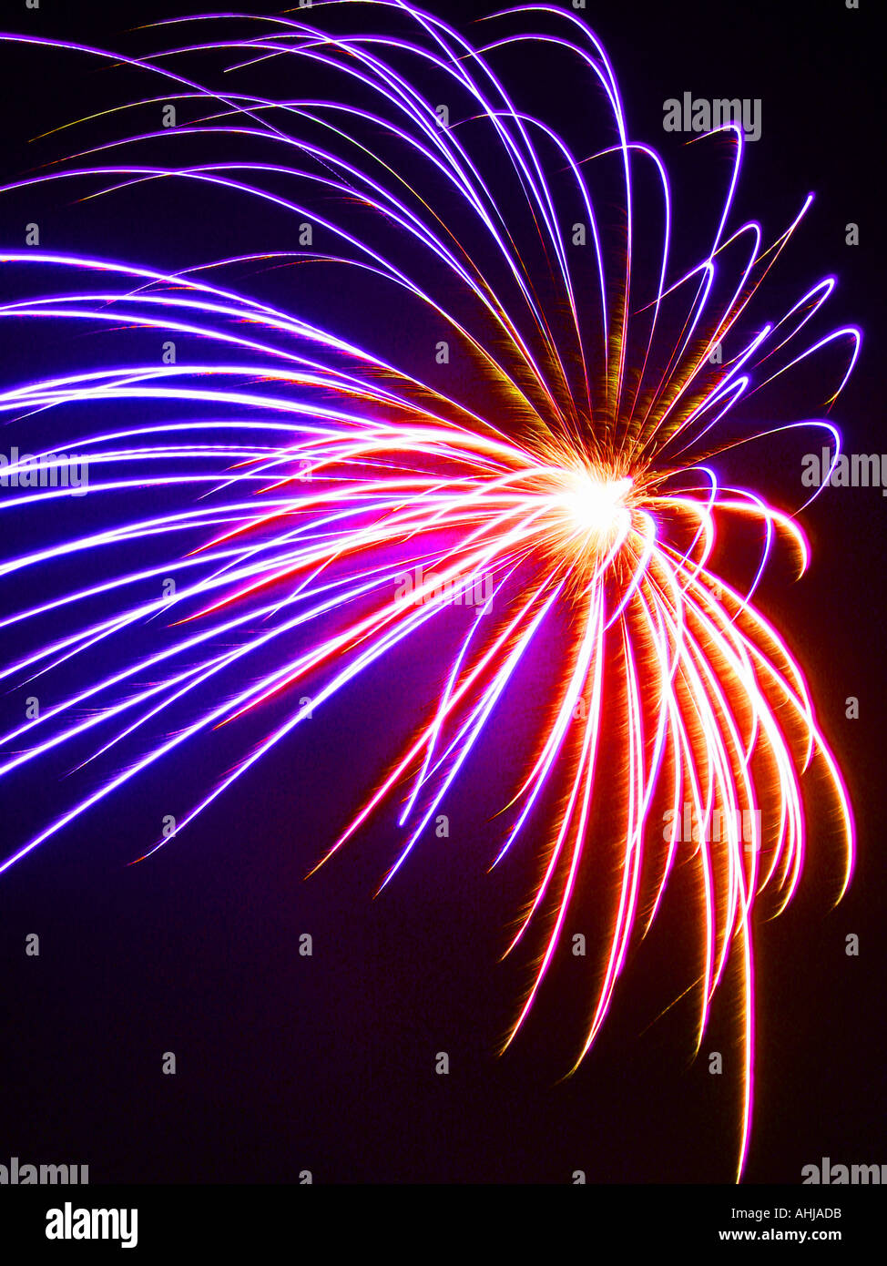 Firework exploding against a black background Stock Photo