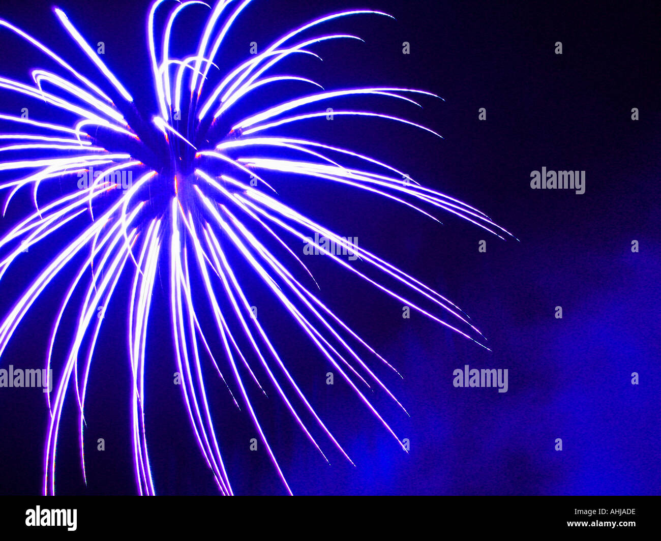 Firework exploding against a dark blue background Stock Photo