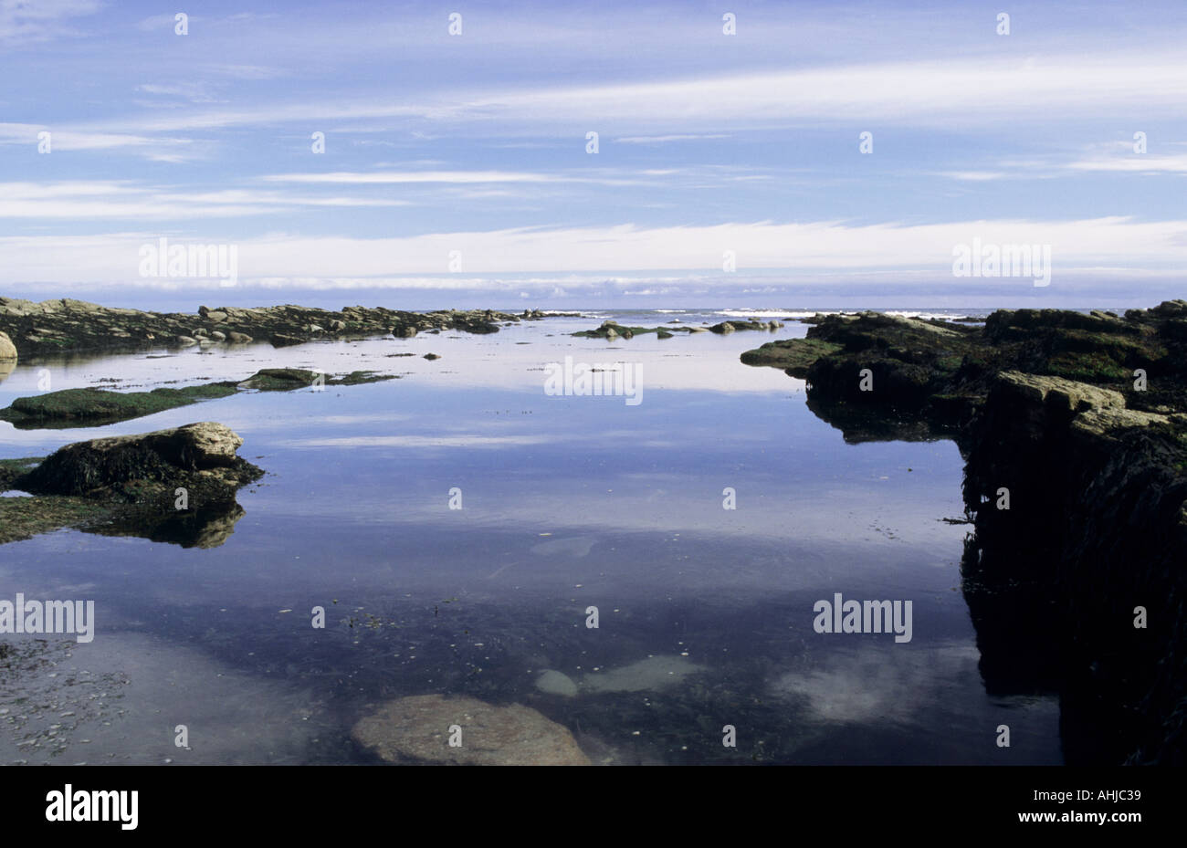 Blue sky and white clouds reflected in glassy surface of rockpool. Submerged rocks and algae in foreground. Cullercoats, Tyne and Wear, UK. Stock Photo