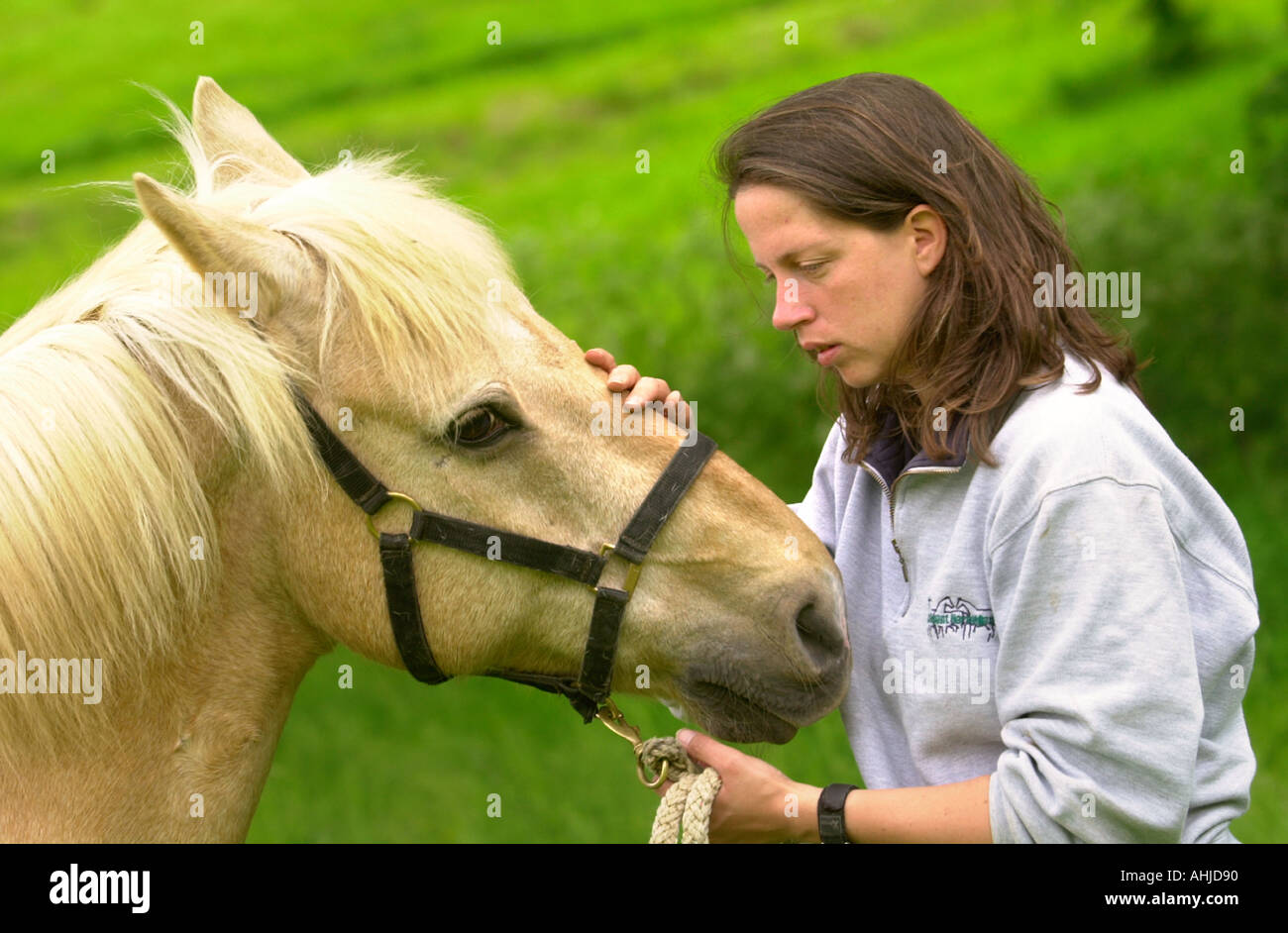 RE HORSE WHISPERER NICOLE GOLDING WHO USED HER TECHNIQUES TO HELP THE