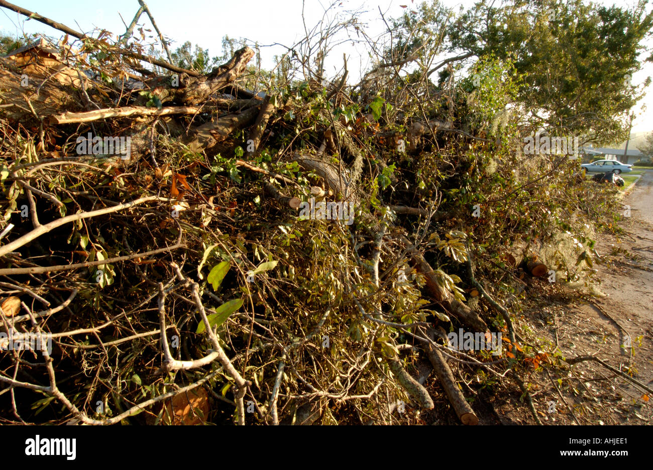 organic trash from Florida hurricane Stock Photo