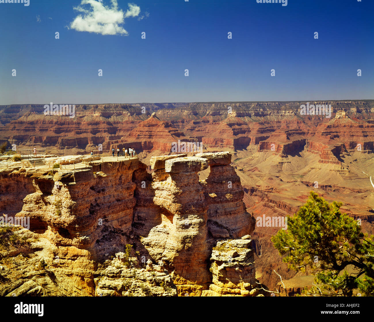 South Rim Grand Canyon Arizona USA Stock Photo