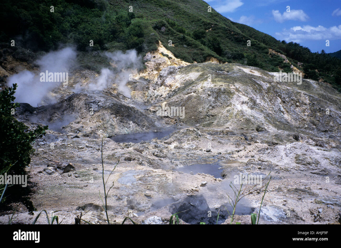 Hot springs, steam and sulphuric gases in Sulphur Springs "the world's