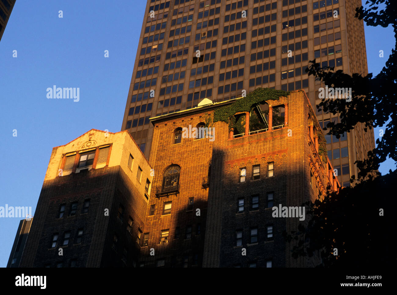 Red brick building with green creeper growing over top section in golden, late evening sunlight. New York, New York, USA. Stock Photo