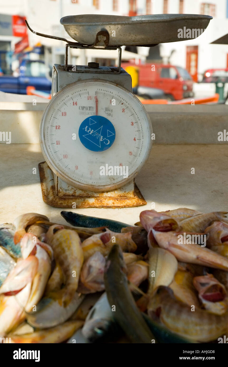 Fresh Fish for sale in market Mykonos Town Mykonos The Cyclades Greek