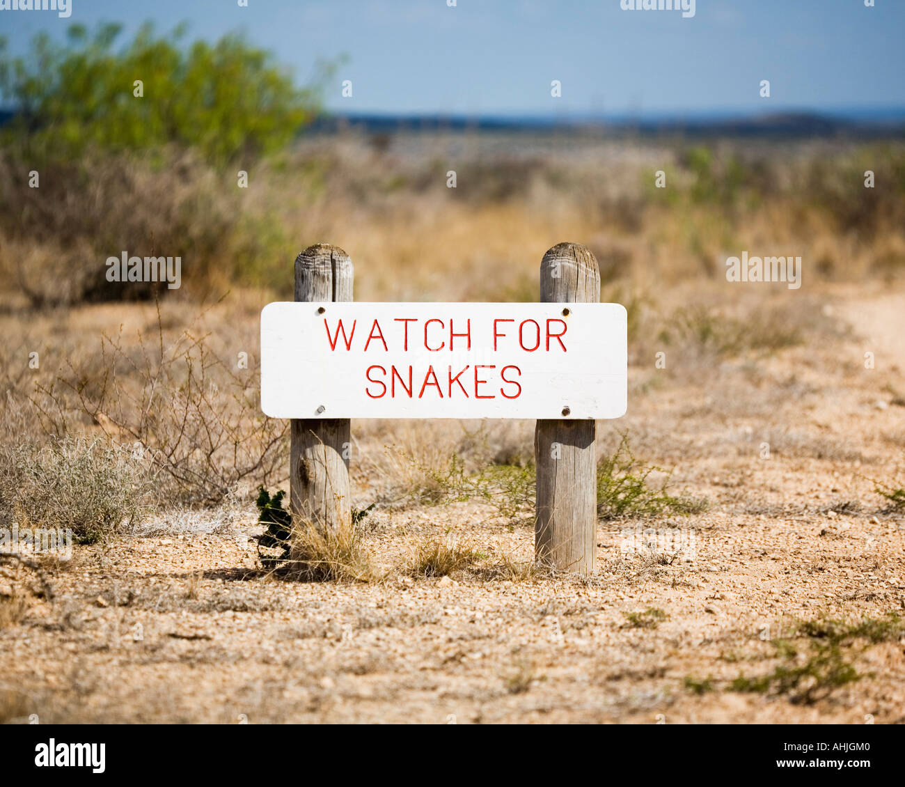 Snake Notice Attention snakes sign hi-res stock photography and images - Alamy