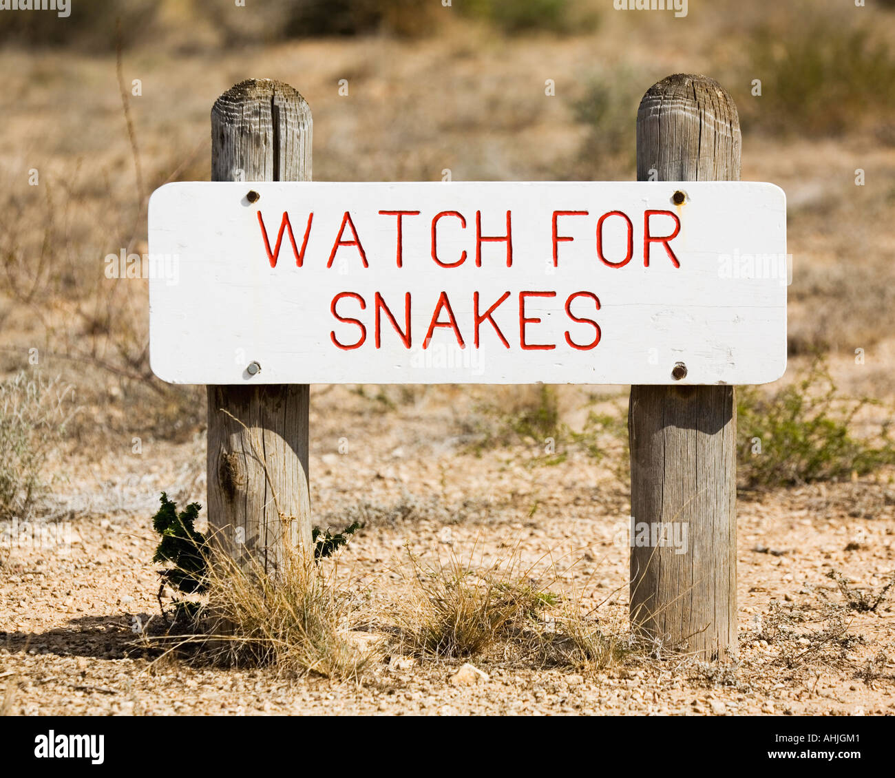 Watch Out Snake Watch for snakes Stock Photo - Alamy