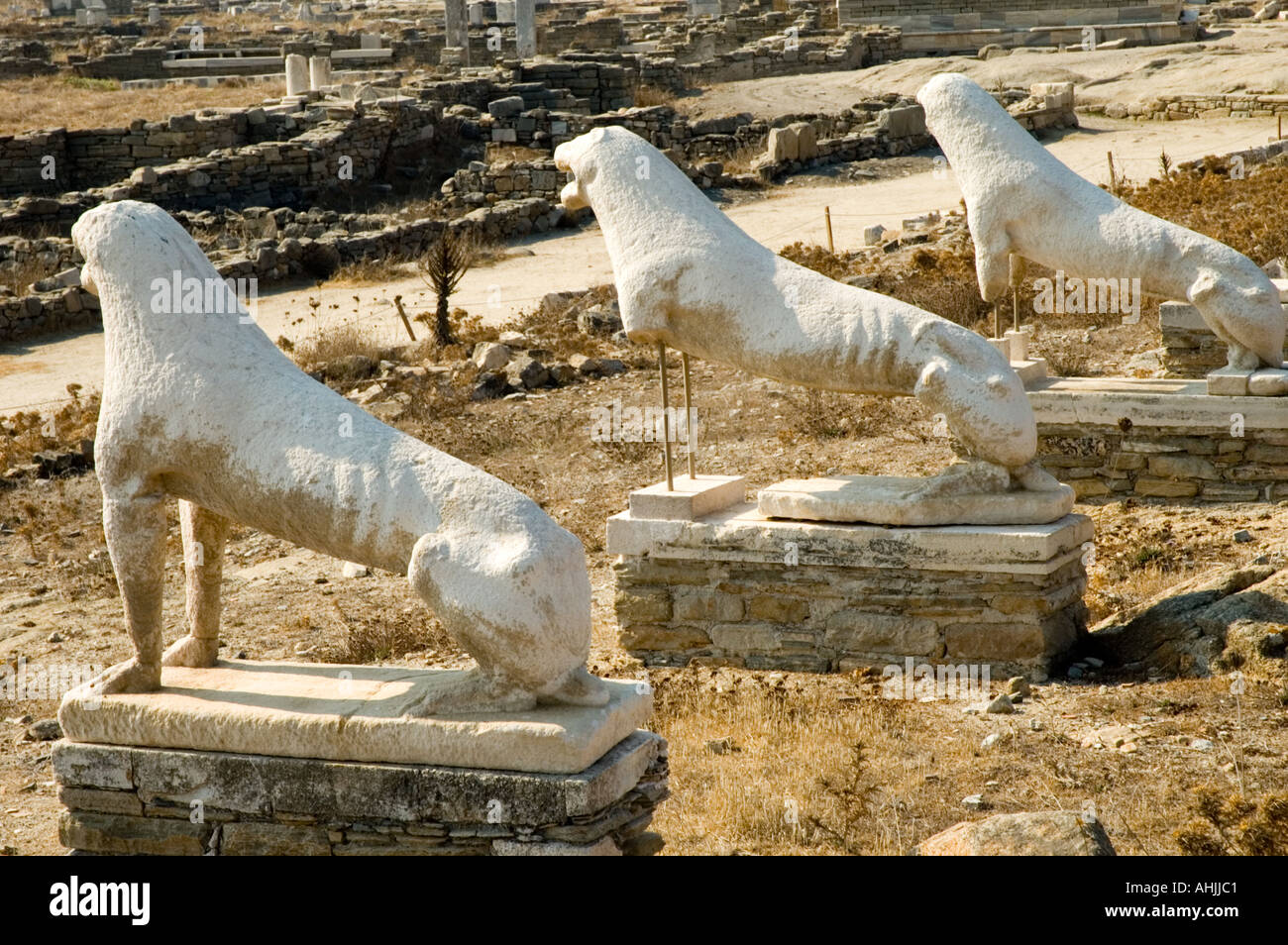 Terrace Of The Lions Delos The Cyclades Greek Islands Greece ...