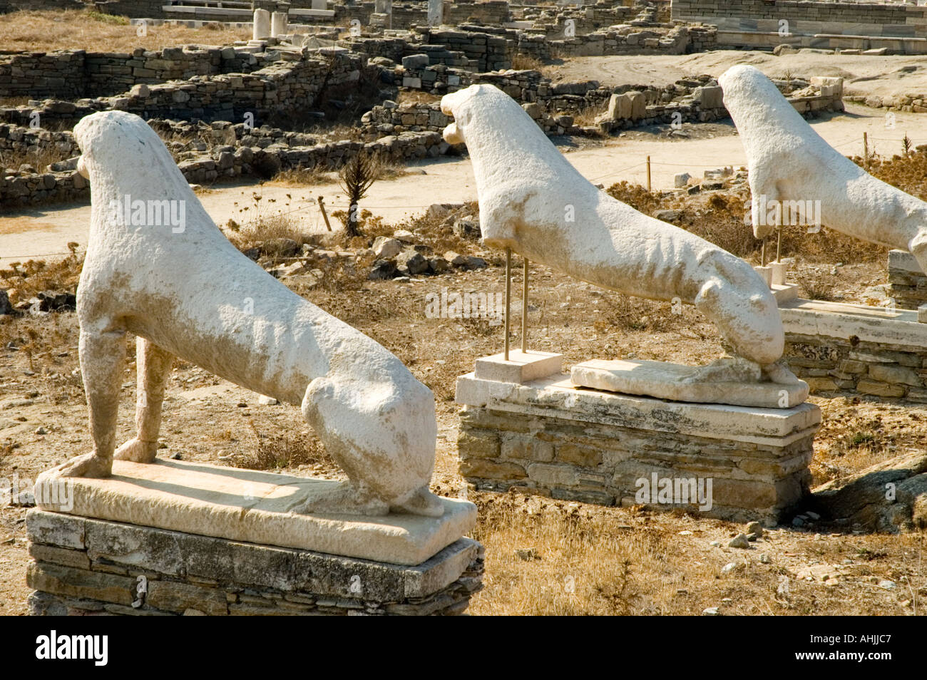 Terrace Of The Lions Delos The Cyclades Greek Islands Greece ...