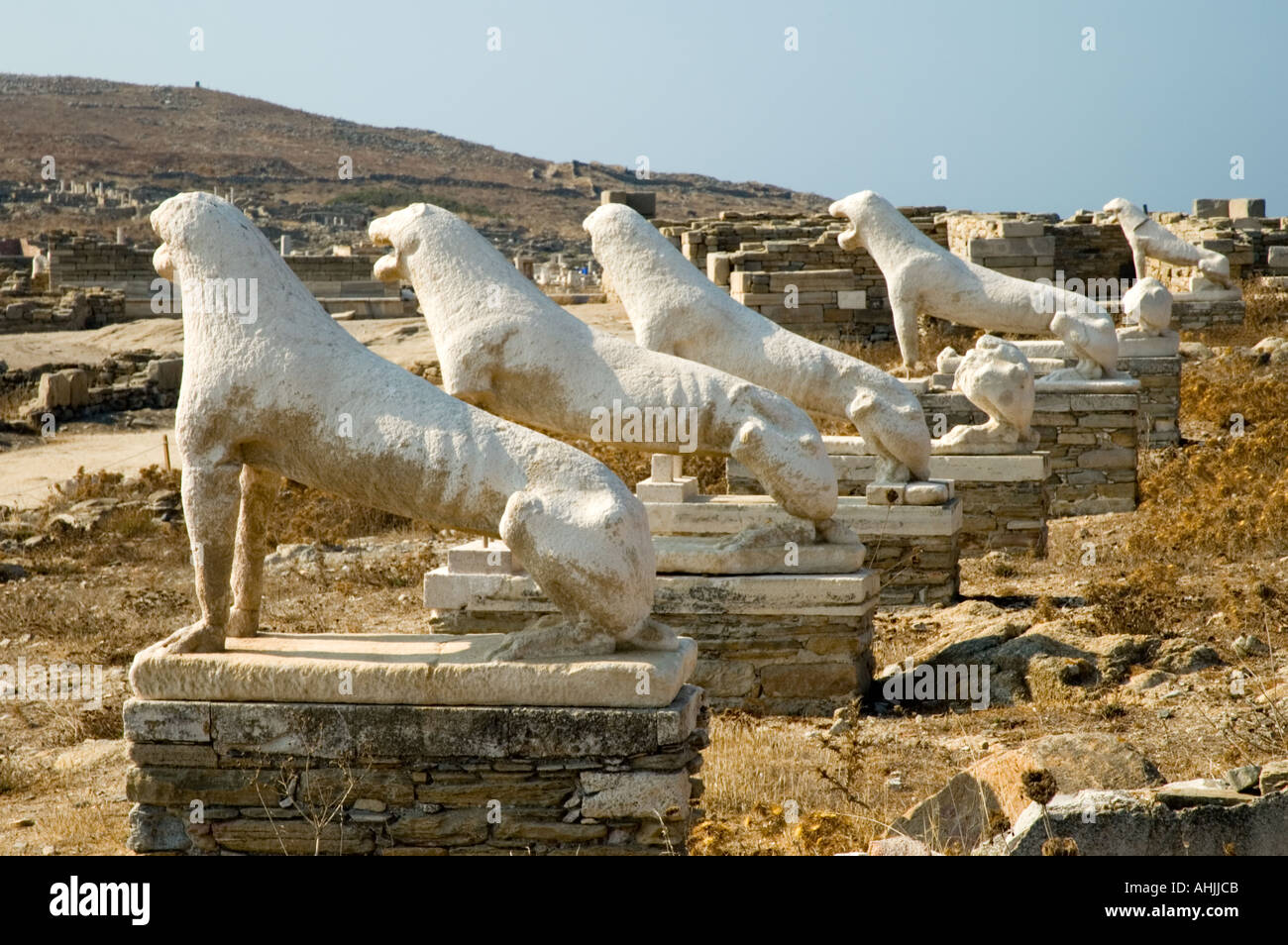 Terrace Of The Lions Delos The Cyclades Greek Islands Greece ...