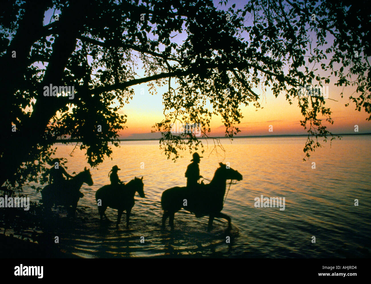 Manitoba Canada Mountain National Park Horse Riding Stock Photo