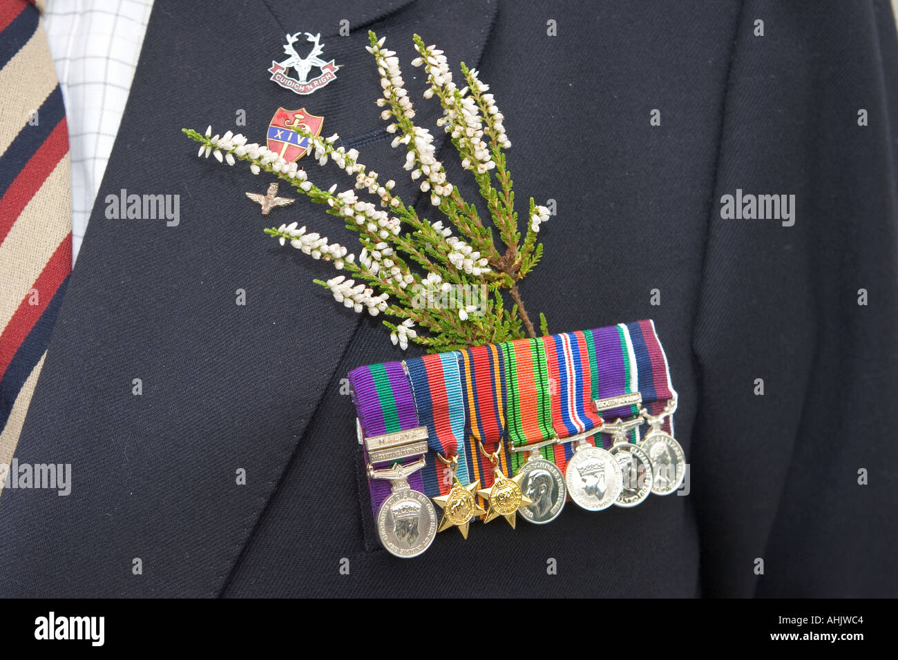 Old soldier wearing war medals & ribbons & heather of Scottish