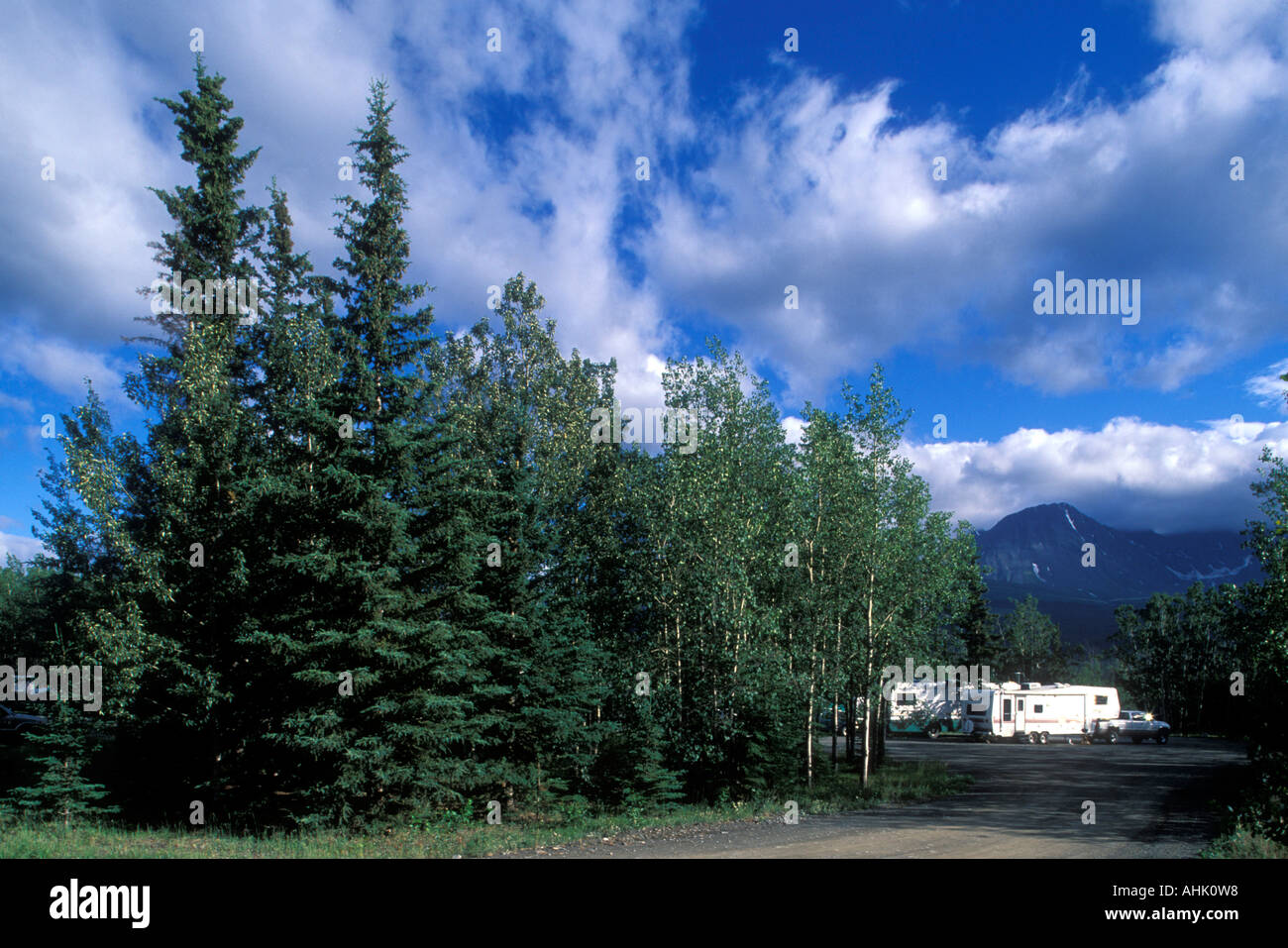 Canada Yukon Territory Haines Junction RV camper in spruce forest on