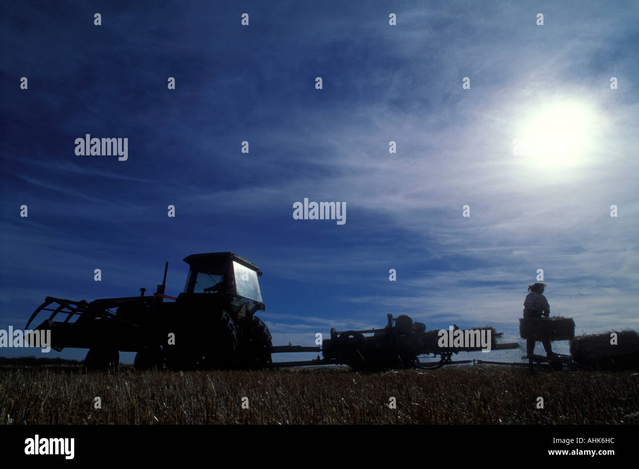 Canada Manitoba Vista MR Karla and Corey Nychuk work on hay bailer at family farm Stock Photo
