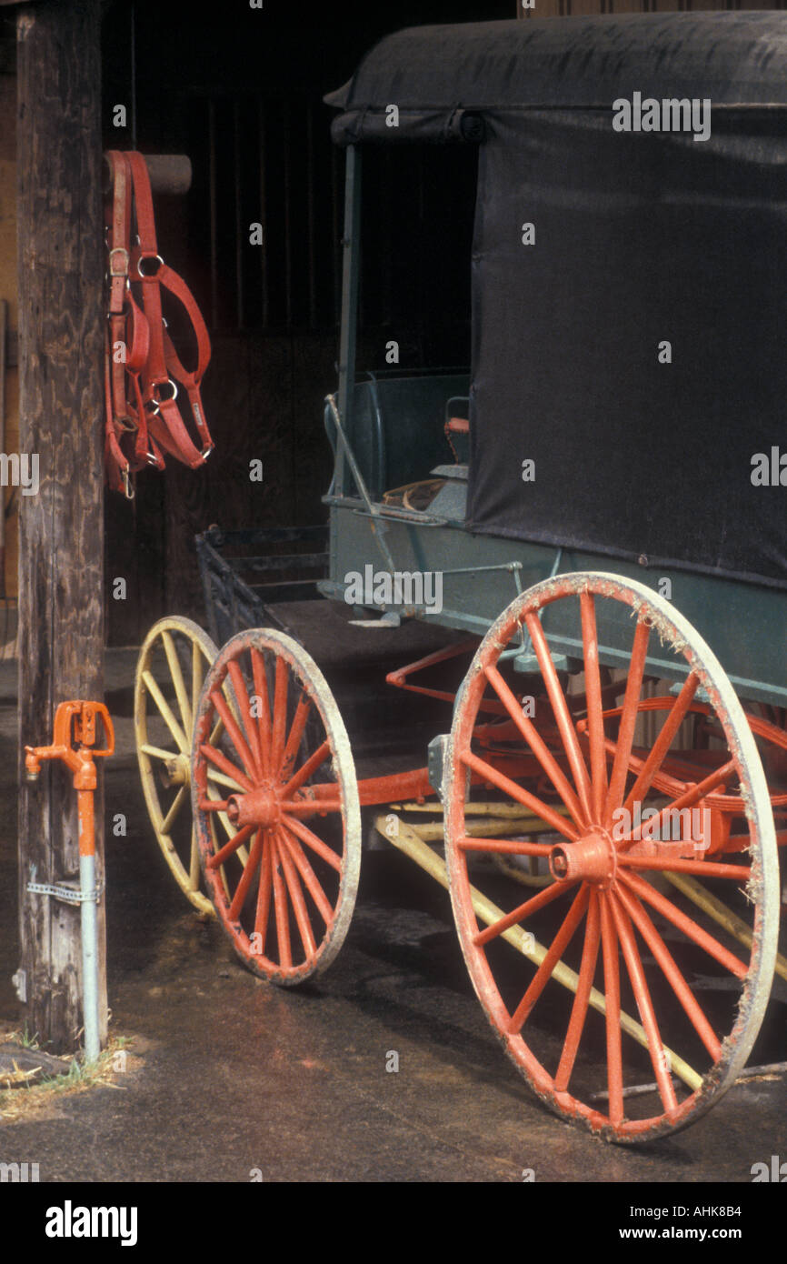 Horse Drawn Carriage Stock Photo Alamy