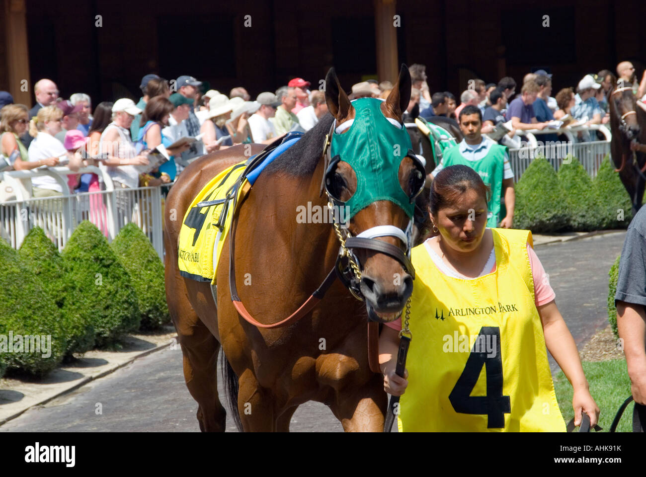Horse 4 & Handler Stock Photo Alamy