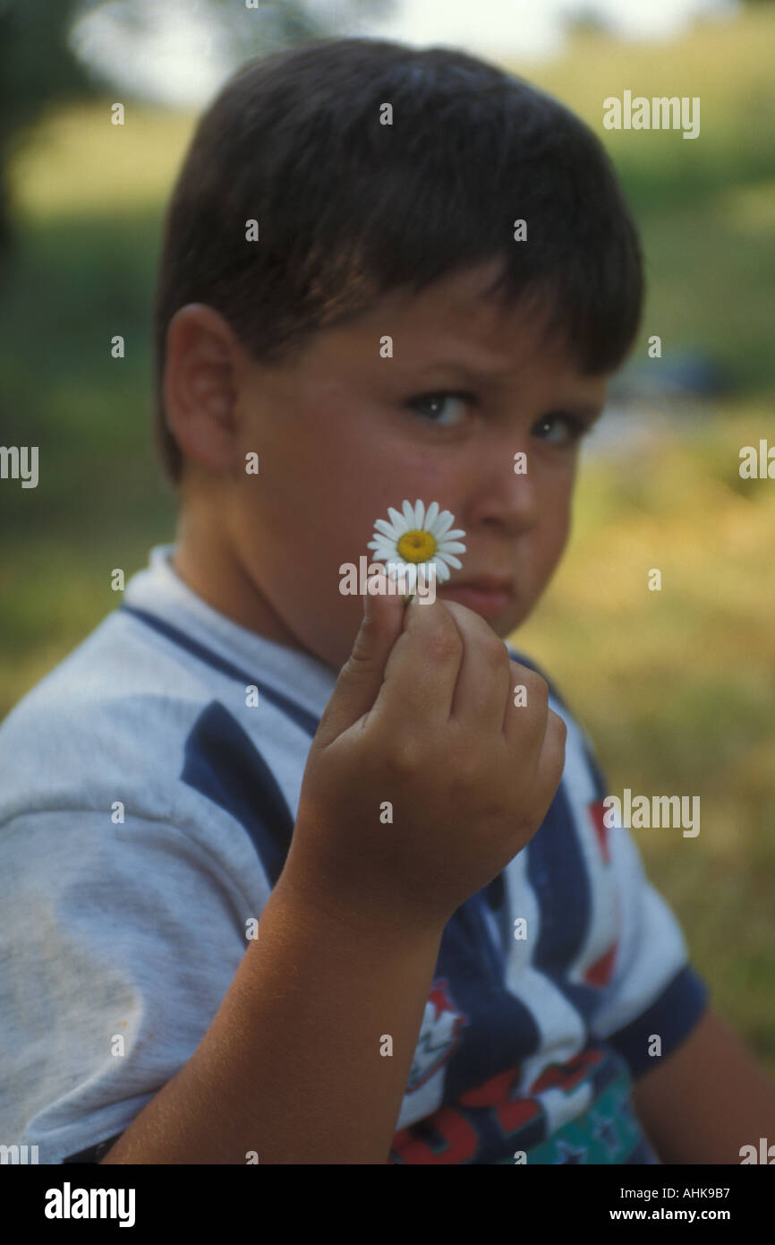 Boy brown hair green eyes hi-res stock photography and images - Alamy