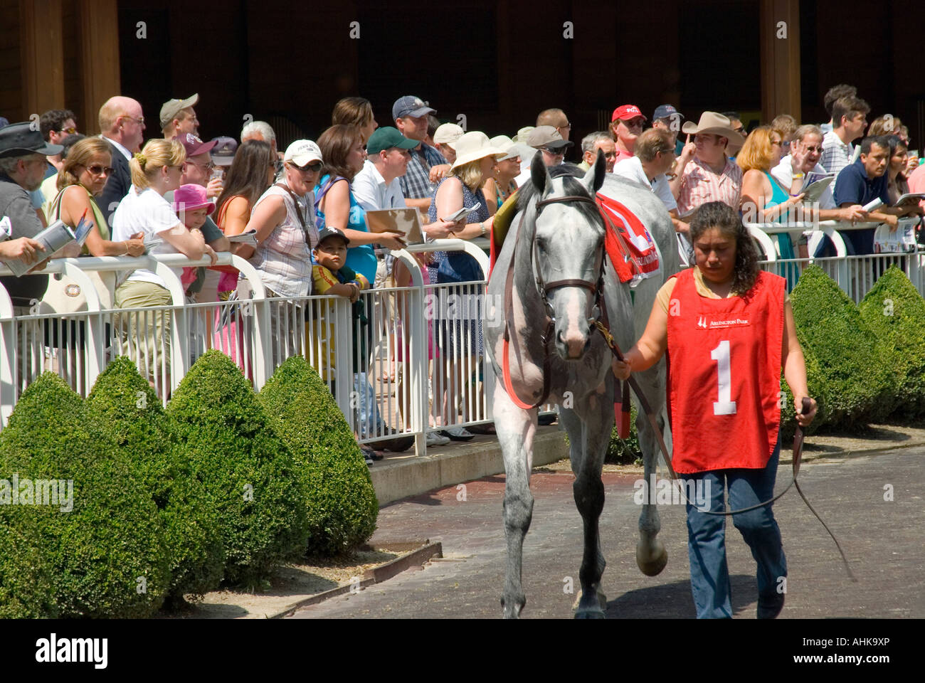 Paddock Definition Racing Horse Racing Paddock # 1 Stock Photo - Alamy