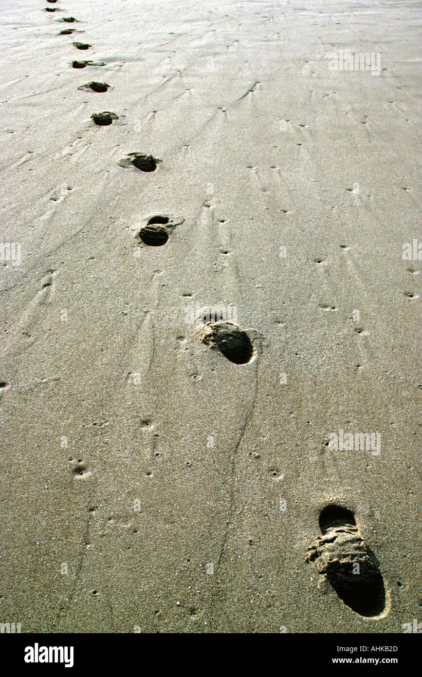 Footsteps in wet sand Stock Photo