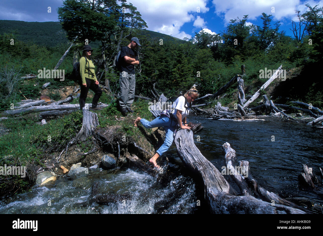 Chile Isla Navarino Hikers wade across stream near Puerto Williams southernmost town in the world Stock Photo