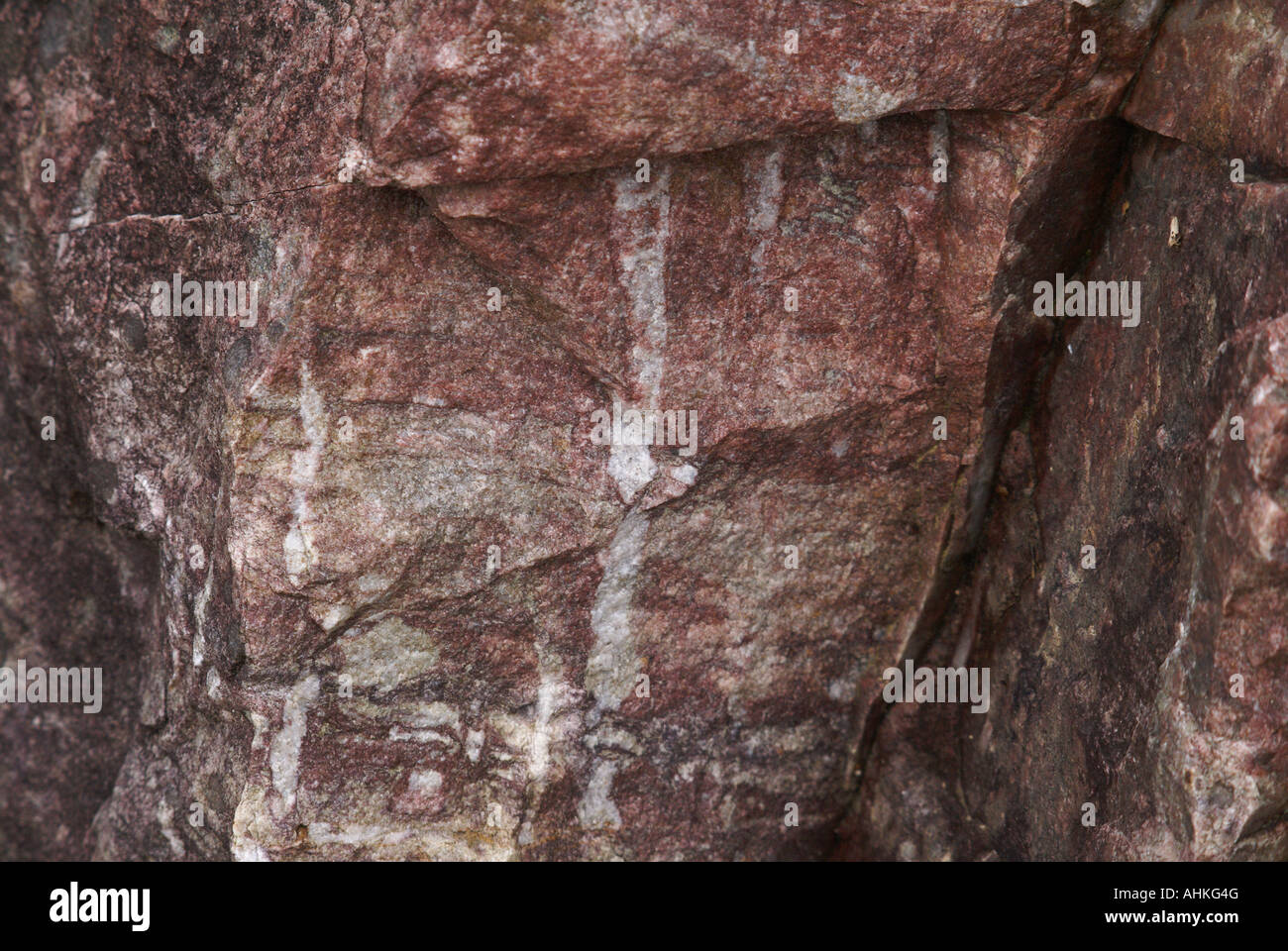 Quartzite Pipe Rock containing worm burrow trace fossils Stock Photo