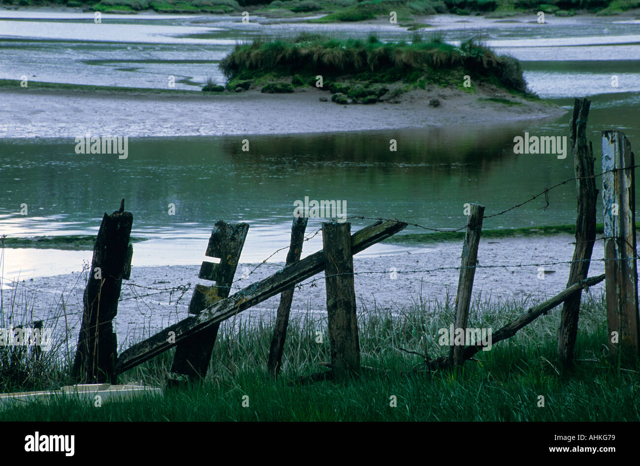 pembroke estuary western cleddau Pembrokshire Wales UK Stock Photo Alamy