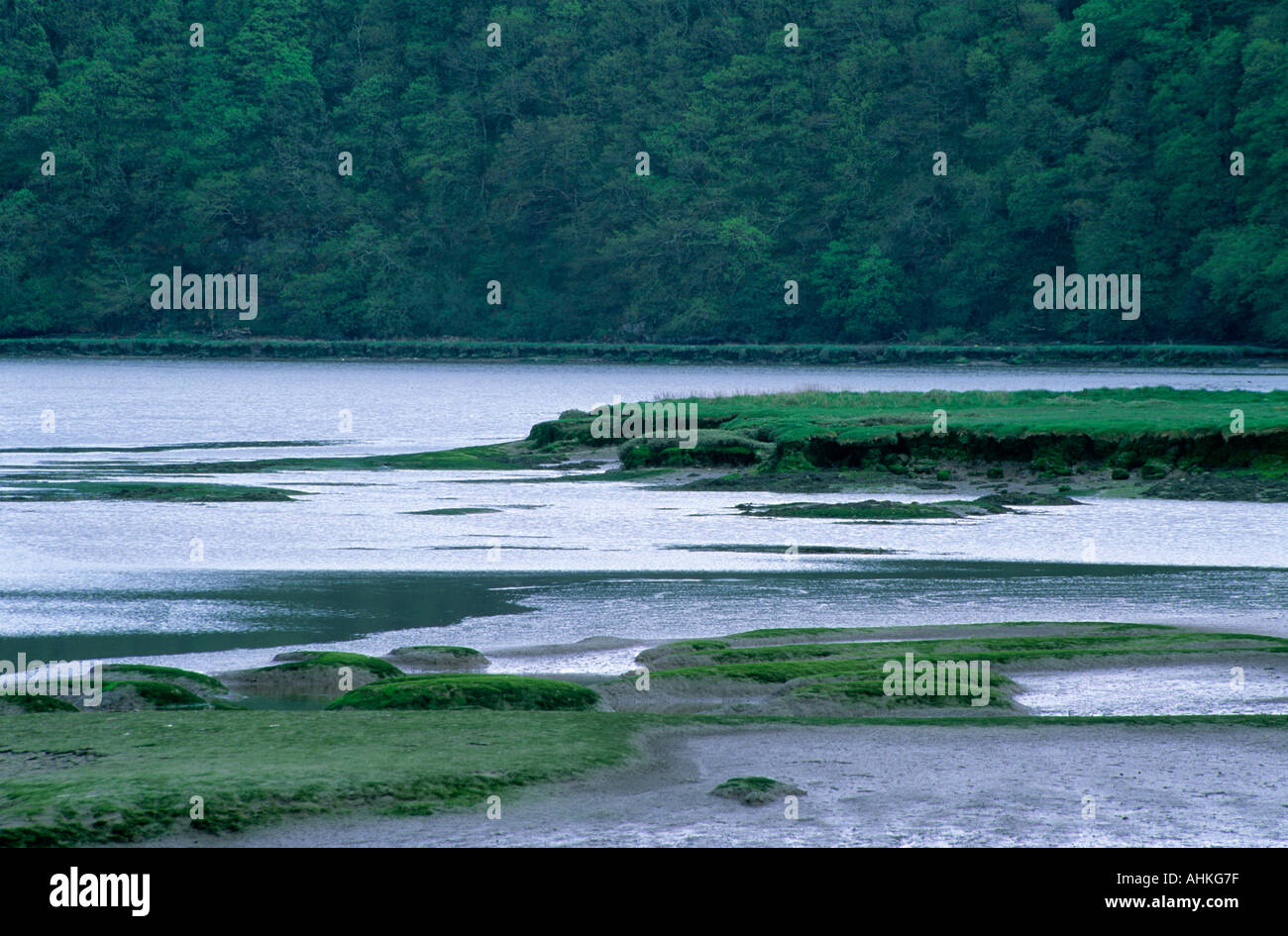 pembroke estuary western cleddau Pembrokshire Wales UK Stock Photo Alamy