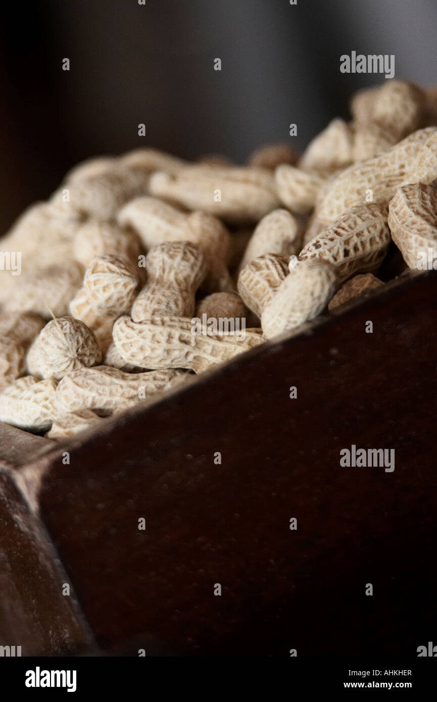 A bowl of monkey nuts Stock Photo Alamy
